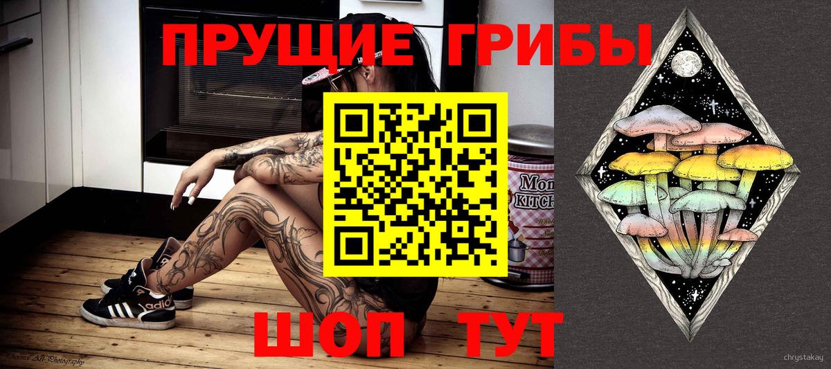 Псилоцибиновые грибы Psilocybine cubensis Красноармейск